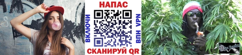 МАРИХУАНА план  дарнет шоп  Мытищи 